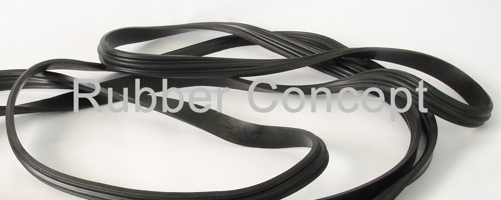 rubber gasket image 1